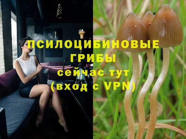 тгк Навашино