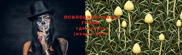 стаф Наволоки